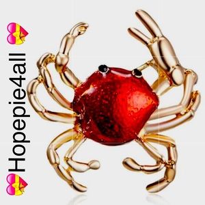 🚫sold🚫💝crab mini brooch💝